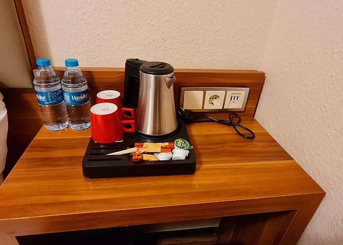 Frankfurt Messe 3* Франкфурт-на-Майне