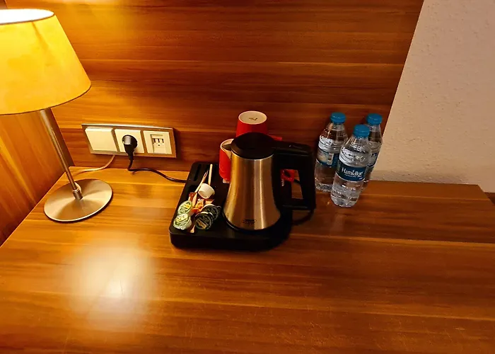 מלון Frankfurt Messe 3*